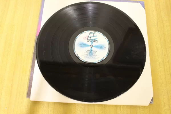 Disco Vinile Stevie Wonder - In Square Circle (Nuovo)